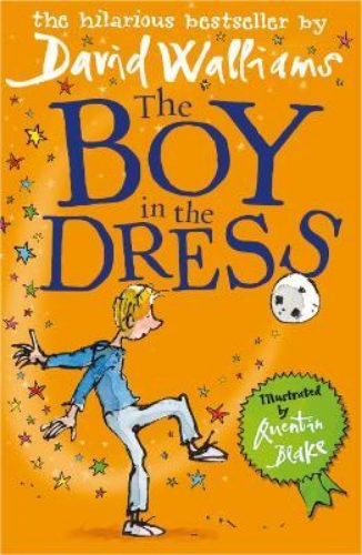 Picture of The Boy in the Dress