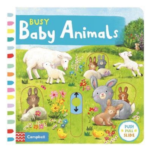 Picture of Busy Baby Animals