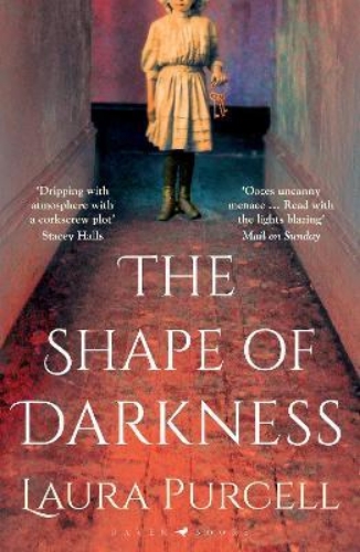 Picture of The Shape of Darkness: 'A future gothic classic' Martyn Waites