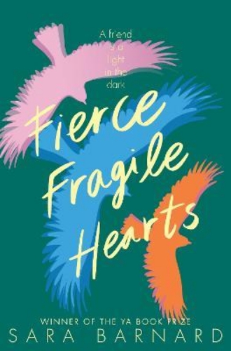 Picture of Fierce Fragile Hearts