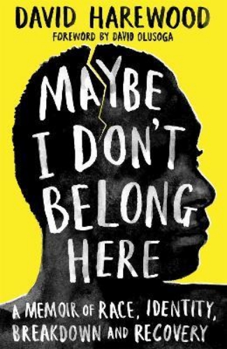 Picture of Maybe I Don't Belong Here: A Memoir of Race, Identity, Breakdown and Recovery