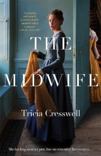 Picture of The Midwife: A Hauntingly Beautiful and Heartbreaking Historical Fiction