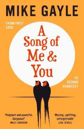 Picture of A Song of Me and You: The escapist pageturner of the summer