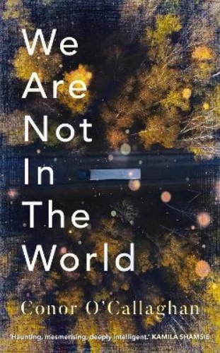 Picture of We Are Not in the World: 'compelling and profoundly moving' Irish Times