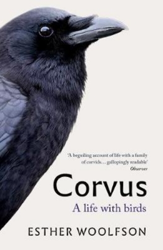 Picture of Corvus: A Life With Birds