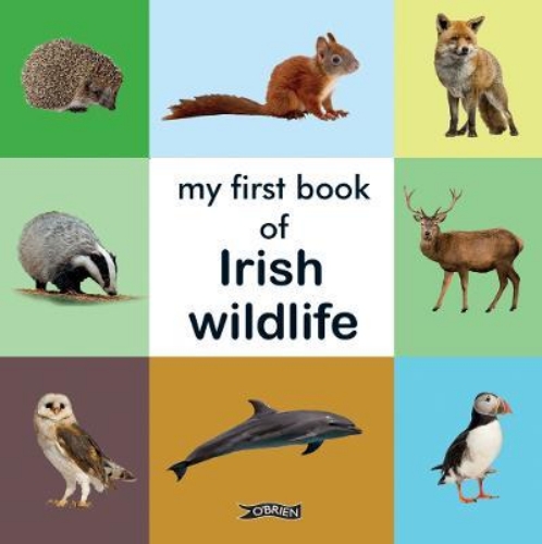 Picture of My First Book of Irish Wildlife