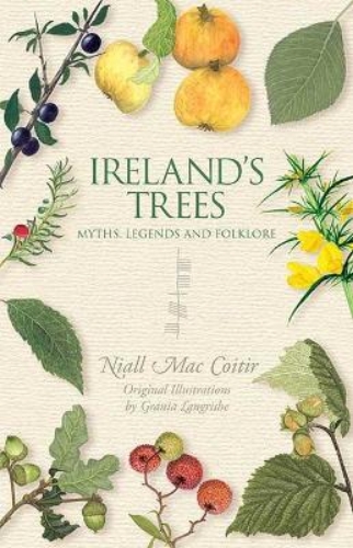 Picture of Ireland's Trees