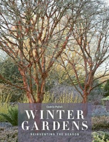 Picture of Winter Gardens: Reinventing the Season