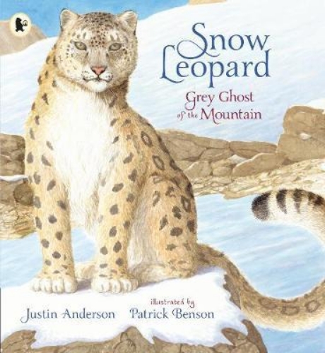 Picture of Snow Leopard: Grey Ghost of the Mountain