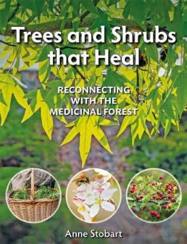 Picture of Trees and Shrubs that Heal: Reconnecting With The Medicinal Forest
