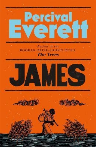 Picture of James: The Heartbreaking and Ferociously Funny Novel from the Genius Behind Amer