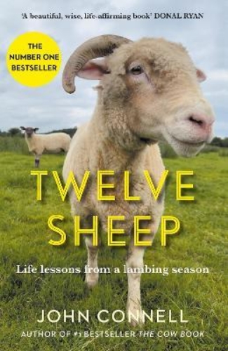 Picture of Twelve Sheep: Life lessons from a lambing season
