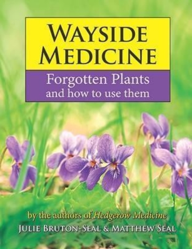 Picture of Wayside Medicine: Forgotten Plants and how to use them