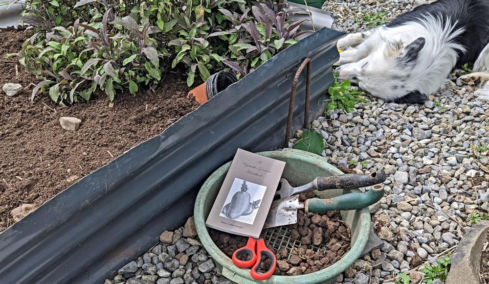 A copy of A Vegetable Grower's Handbook on the allotment next to the garlic bed, some tools, and the dog. 